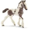 Schleich Farm 13774 - Tinker Veulen