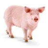 Schleich Farm 13782 - Varken Zeug -Toy Verkoop schleich schleich farm 13782 varken zeug