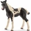 Schleich Horses 13803 - Pinto Veulen