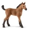 Schleich Horses 13854 - Quarter Horse Veulen -Toy Verkoop schleich schleich horses 13854 quarter horse veule