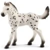 Schleich Horses 13890 - Knabstrupper Veulen