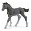 Schleich Horses 13944 - Trakehner Veulen -Toy Verkoop schleich schleich horses 13944 trakehner veulen