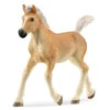 Schleich Horses 13951 - Haflinger Veulen -Toy Verkoop schleich schleich horses 13951 haflinger veulen