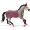 Schleich Horses 42456 - Trakehnen Wedstrijd Merrie -Toy Verkoop schleich schleich horses 42456 trakehnen wedstrijd